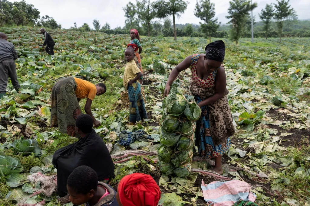 Est de la RD-Congo : M23 s'impose pendant que les dirigeants conservateurs ferment les yeux sur l'absurde