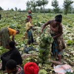 Est de la RD-Congo : M23 s'impose pendant que les dirigeants conservateurs ferment les yeux sur l'absurde