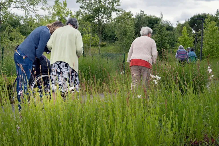 Vieillissement : une responsabilité collective souvent négligée au profit de l&rsquo;individualisme
