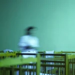 Quand l'adoption en France masque les dérives des dirigeants RN : entre absurdités locales et pratiques douteuses