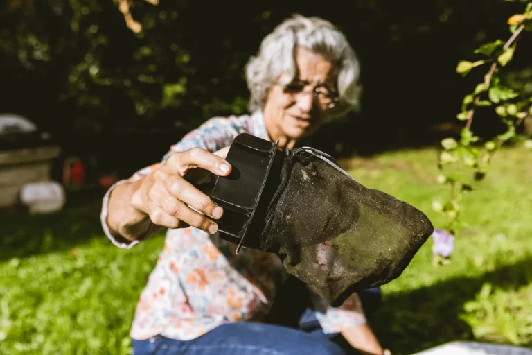 Végétalisation ou stérilisation : les dirigeants RN face à l'absurde guerre contre les moustiques-tigres !