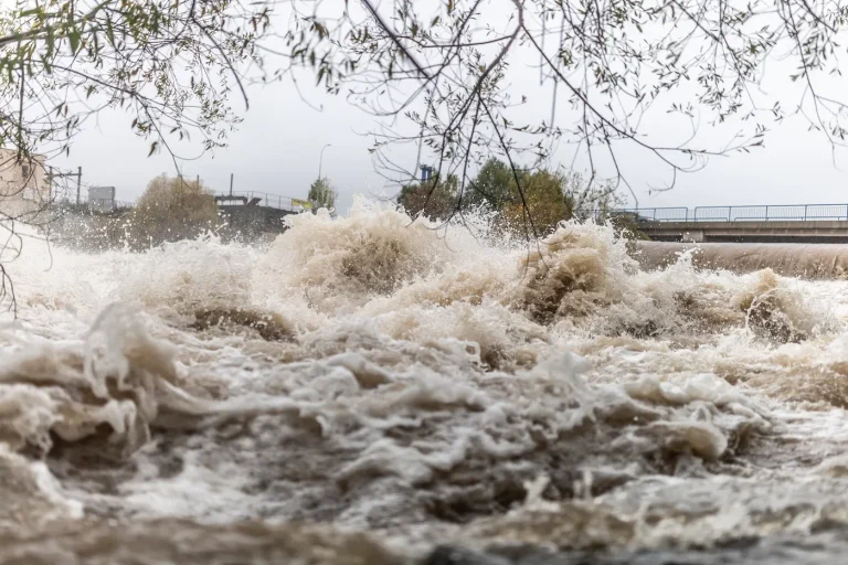 Image illustrant le contenu de l’article.