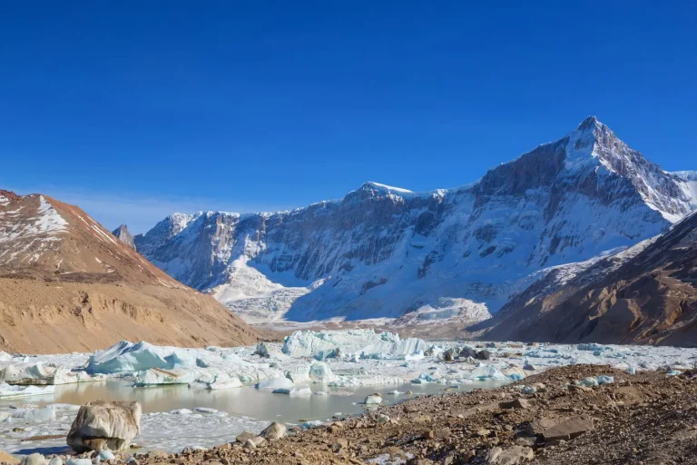 Argentine : le glacier sous la hache de l&rsquo;ultralibéralisme