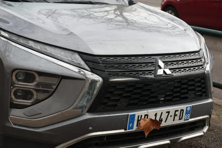 Insectes en voie de disparition : une enquête à l’arrière d’un véhicule