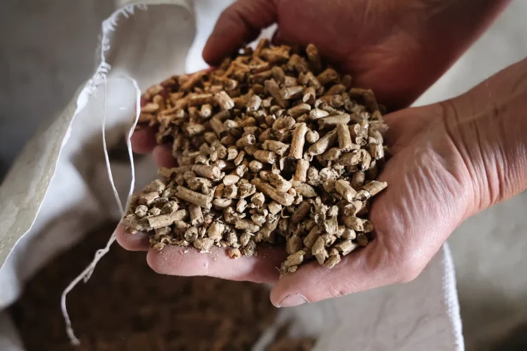 Granulés de bois : le piège mortel sous nos pieds