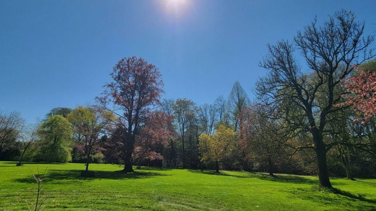 Belgique : Pourquoi ce printemps ensoleillé pourrait-il surprendre les prévisions météo ?