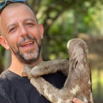 Libération improbable : un consultant belge en Centrafrique, pendant que nos dirigeants conservateurs s'égarent !