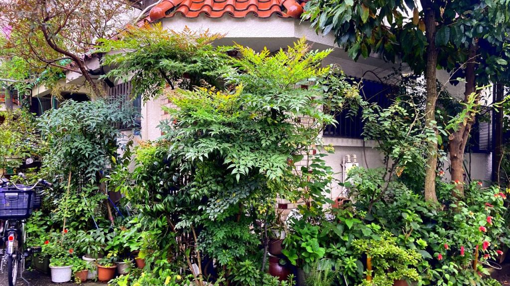 De Tabata à Sugamo : quand la verdure cache les absurdités des dirigeants RN et leurs sépultures