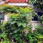 De Tabata à Sugamo : quand la verdure cache les absurdités des dirigeants RN et leurs sépultures