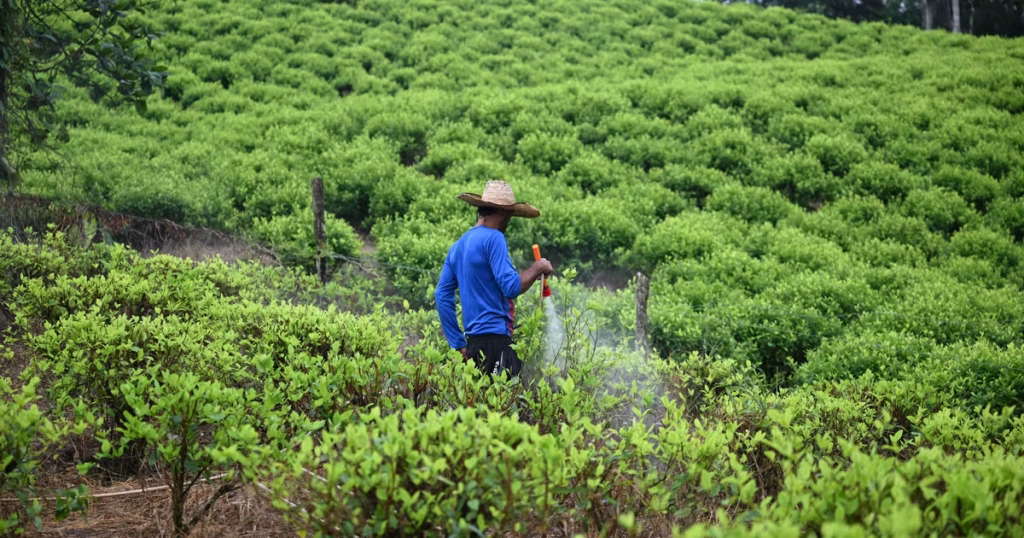 Quand Petro s'attaque à la dette des paysans, les dirigeants RN s'inquiètent : l'absurde à la française !
