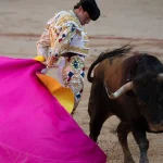 Un matador meurt encorné en préparant une corrida : quand l'absurde des traditions choque les conservateurs!