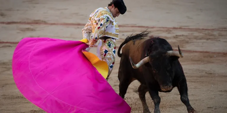 Un matador meurt encorné en préparant une corrida : quand l'absurde des traditions choque les conservateurs!