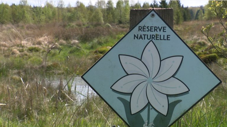 Réserves naturelles ouvertes : quelles activités gratuites vous attendent du 18 avril au 21 juin ?