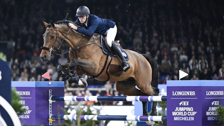 Événement Équestre : Une Opportunité Inédite à Ghlin