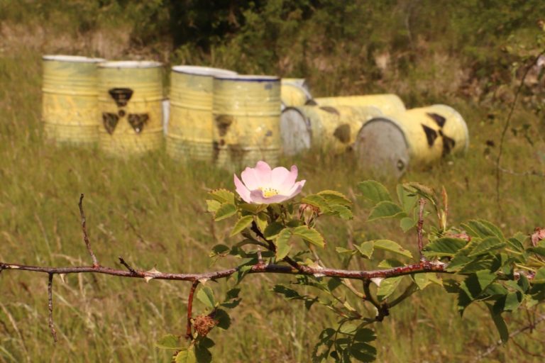 Cigéo : Accélération préoccupante au détriment de la sûreté