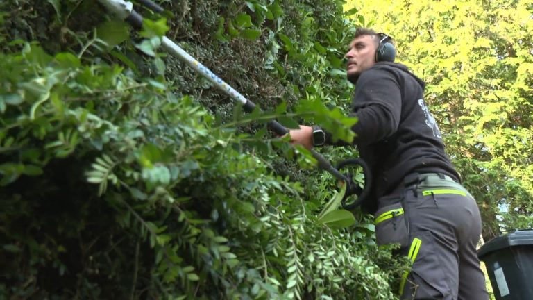 Jardinage : la hausse des ventes d&rsquo;outils électriques en France en 2023