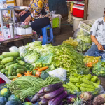 Quand les villes RN découvrent la cuisine cambodgienne : un retour qui ridiculise les conservateurs !