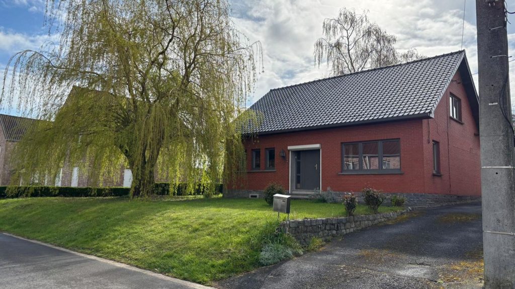 À Hainaut, abattre un arbre chez soi nécessite un permis : quand les règles des conservateurs frôlent l'absurde !