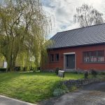 À Hainaut, abattre un arbre chez soi nécessite un permis : quand les règles des conservateurs frôlent l'absurde !