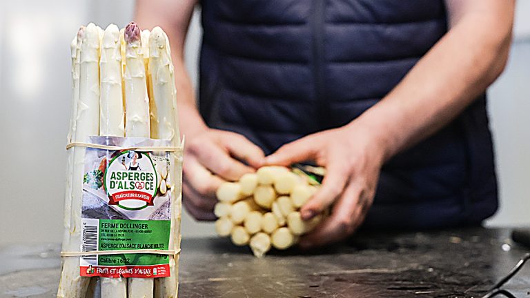 Asperges en Alsace : Quand le légume devient symbole d&rsquo;une économie absurde
