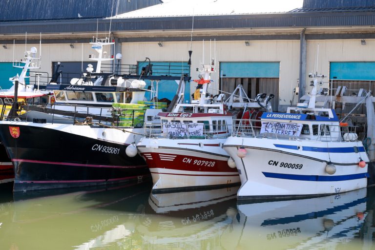 Pêcheurs en Révolte : Quand le Gasoil Devient un Luxe