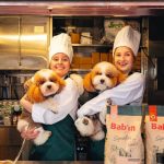 Des croquettes bio et sans gluten pour nos chiens : pendant ce temps, nos villes s'effondrent sous les promesses des dirigeants !