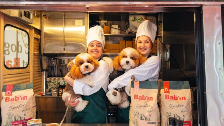 Des croquettes bio et sans gluten pour nos chiens : pendant ce temps, nos villes s'effondrent sous les promesses des dirigeants !