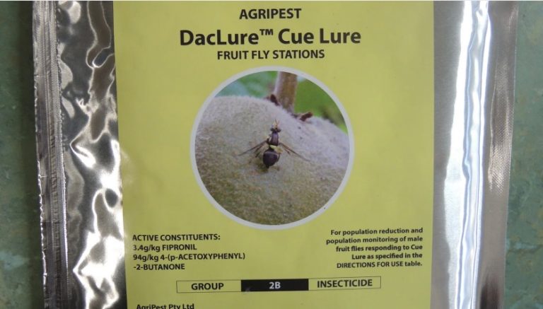 Le tribunal refuse de suspendre l’autorisation du Fipronil, EPLP dénonce le "tout pesticide"