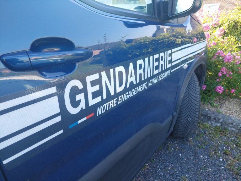 Deux jeunes en quête de frissons : un cambriolage qui soulève des questions