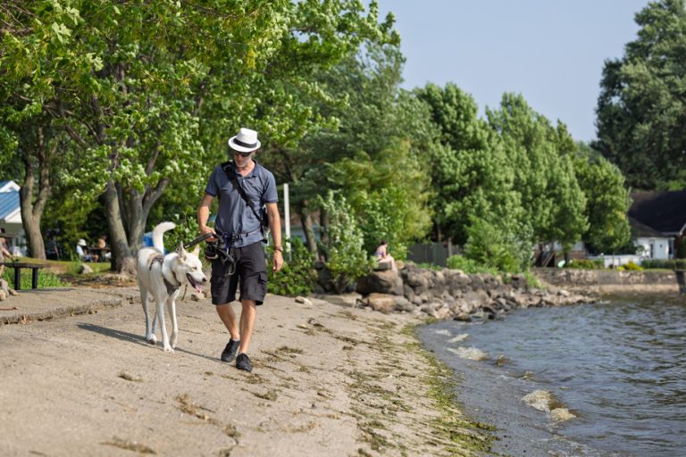 Le Symposium Canin : Un Événement qui A du Chien