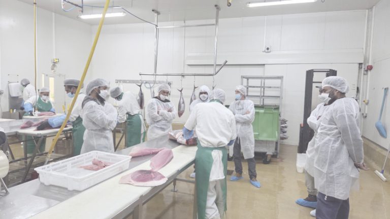 Crise des mers : Former des pêcheurs de demain ou sacrifier l’avenir ? L’absurde décision de la CAP-NC !