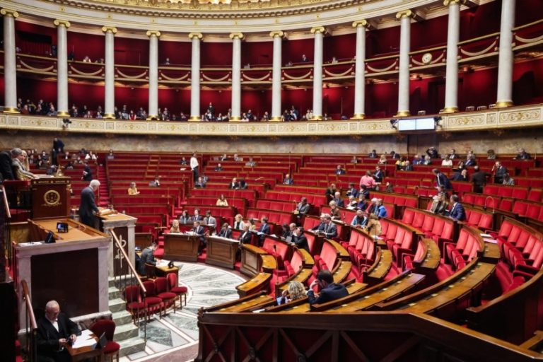 Réseaux sociaux : la France entre protection et paternalisme numérique