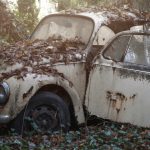 Concours photo et activités sportives à la patinoire de Louviers cette semaine.