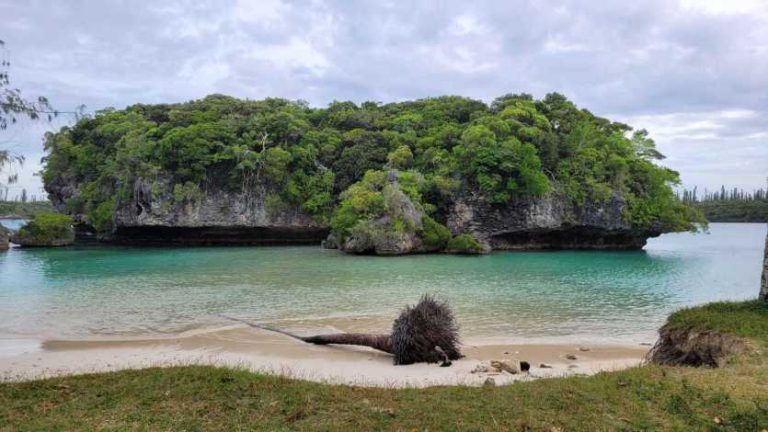 La Réouverture de l&rsquo;Enquête sur l&rsquo;Affaire Mika Kusama : Un Nouveau Chapitre Après Plus de Vingt Ans