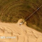 La recherche scientifique sur la reforestation des déserts avance en Arabie Saoudite.