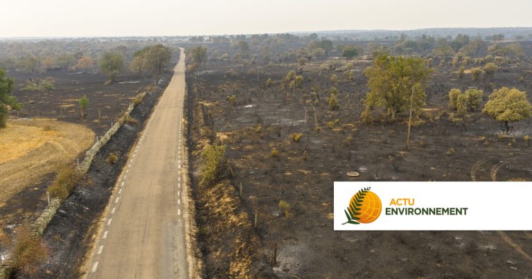 L&rsquo;Europe se réchauffe deux fois plus vite que la moyenne mondiale, selon une étude.