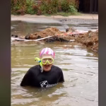 Helen Zille, candidate à la mairie de Johannesburg : entre nids-de-poule et absurdités conservatrices !