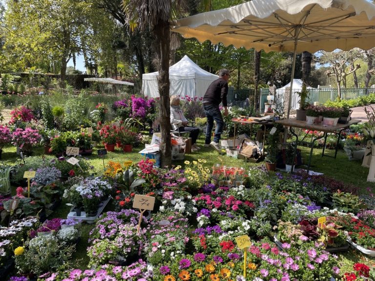 La Baule : Fête des fleurs ou hypocrisie politique ?