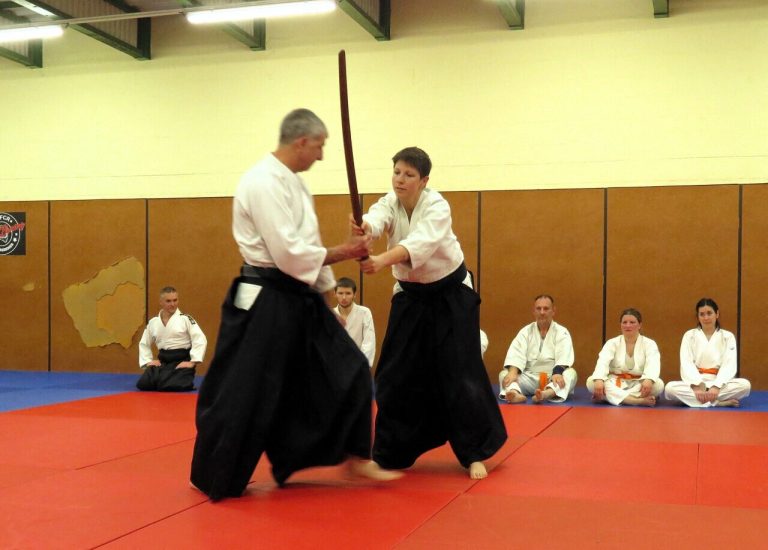 L’Aïkido : Une Pratique en Quête de Reconnaissance ou un Art Martial en Déclin ?