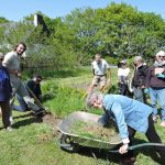 Grand-Champ : Un jardin collectif en pleine transformation