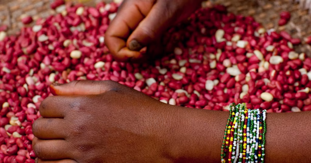 À Kaya, les brochettes au koura-koura : fierté locale ou symbole de l'absurde conservateur ?