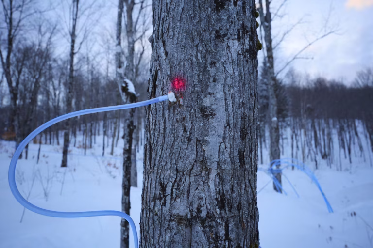 Image illustrant le contenu de l’article.