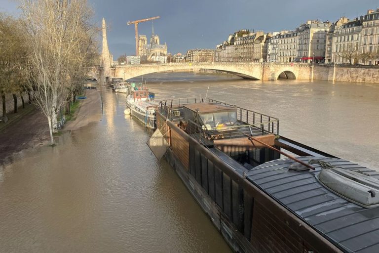 Crues de la Seine : êtes-vous en zone inondable ? Découvrez-le grâce à une appli