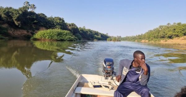Campements en Casamance : quand les dirigeants conservateurs ignorent la beauté locale à petit prix !