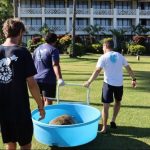 Tortue volée en Polynésie : "On ne saura jamais s’ils l’ont vendue, consommée ou relâchée"