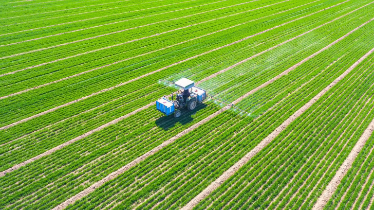 Faux Printemps : La Douce Illusion qui Gèle les Agriculteurs