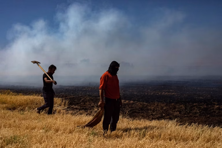 Chaleurs extrêmes : vers une transformation des systèmes agroalimentaires ?
