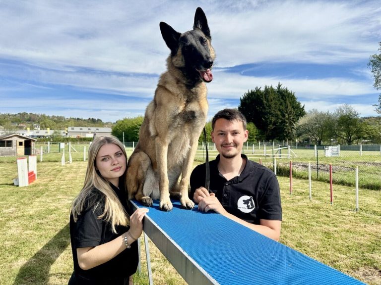 PM-éduc : un nouveau centre d&rsquo;éducation canine au Breuil-en-Auge