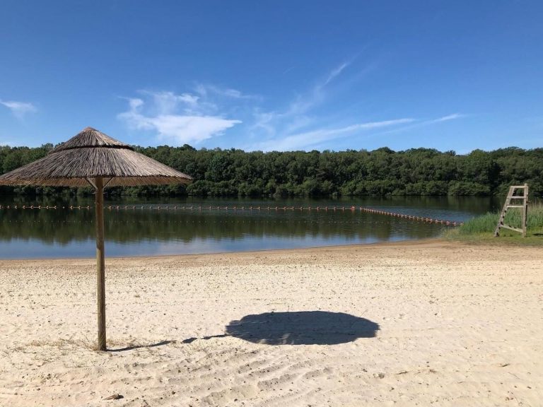 Wam Park et les Étangs de Hollande : Quand la baignade prend des allures de boulette politique