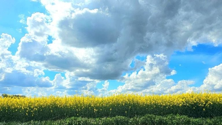 La Belgique sous les nuages : Entre promesses électorales et réalité morose